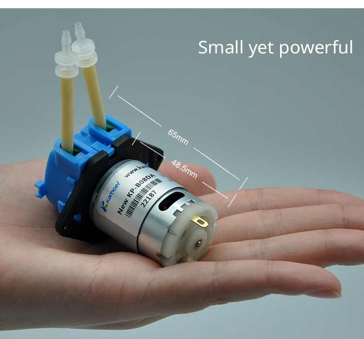 2026 nieuwe NKP 6V 12V 24V DC  - Dc Motor 12V recensie en prijs
